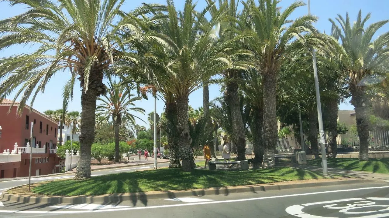 Tenerife With Impressive Pool 315 Costa Del Silencio