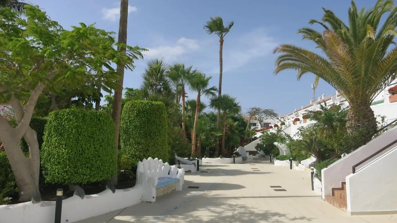 Tenerife With Impressive Pool 315 Costa Del Silencio Apartment